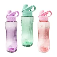 TERMO PLASTICO COLORES 550ML